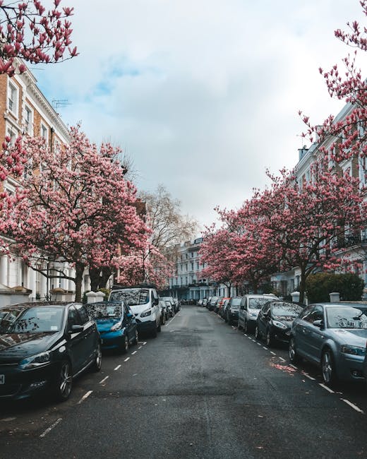 A narrow residential street in South Kensington with a cobblestone paving surface, lined with historic terraced houses featuring white facades, black wrought iron balconies, and large windows. Potted